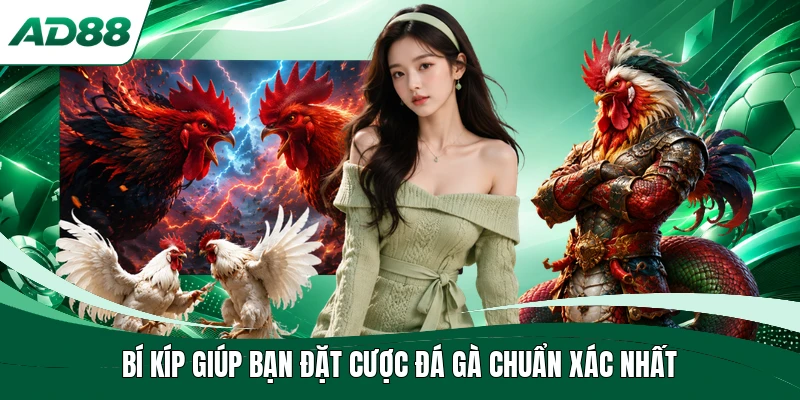 Bí kíp giúp bạn đặt cược đá gà chuẩn xác nhất tại AD88