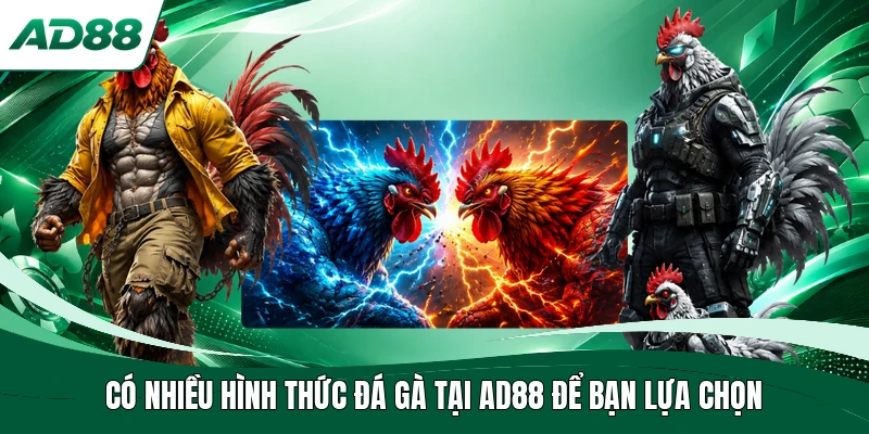 Có nhiều hình thức đá gà tại AD88 để bạn lựa chọn