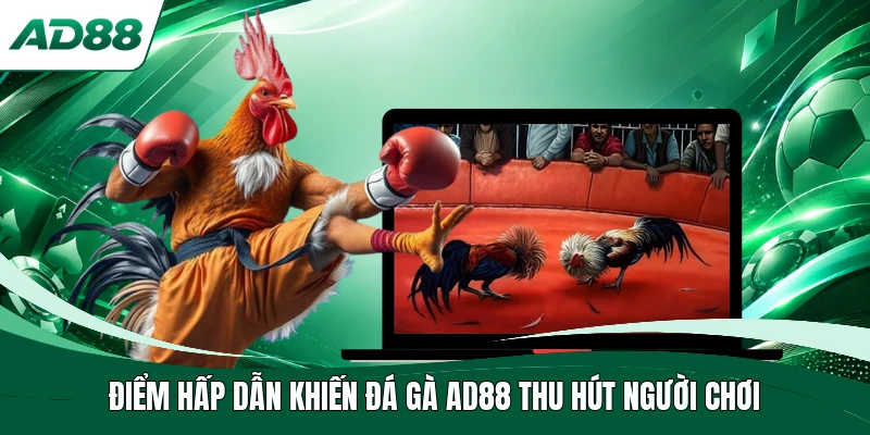 Điểm hấp dẫn khiến đá gà AD88 thu hút người chơi