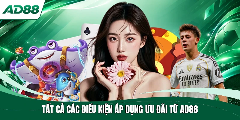 Tất cả các điều kiện áp dụng ưu đãi từ AD88